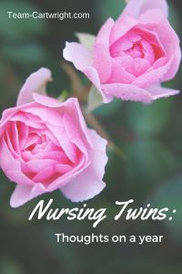 Text: Nursing Twins: Thoughts on a year Picture: Two pink roses