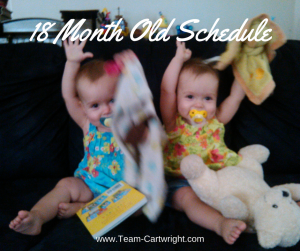 18 month old twin schedule.
