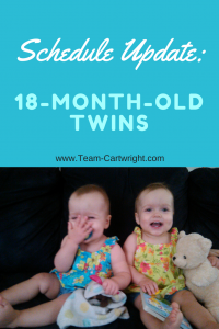 How to schedule an 18 month old. 18 month old twin schedule and routine.