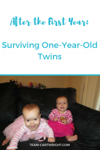 After the First Year: Surviving One-Year-Old Twins #twins #toddler #parenting