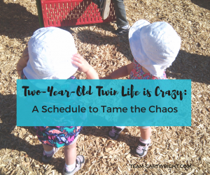 Sample Schedule for two-year-old twins. #twins #toddler #schedule #daily 