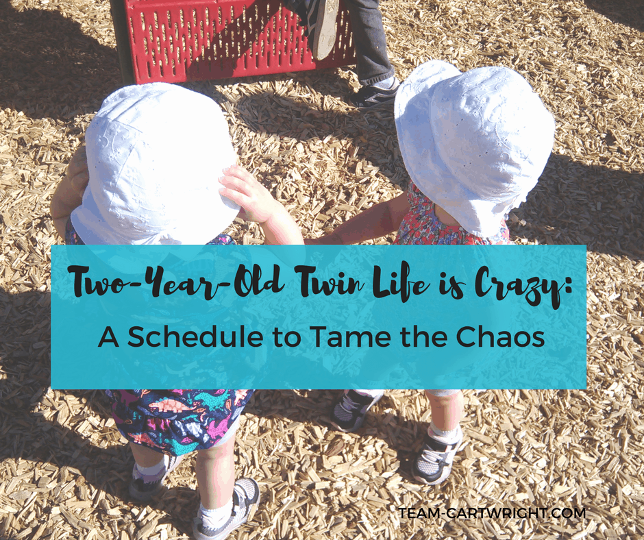 Sample Schedule for two-year-old twins. #twins #toddler #schedule #daily