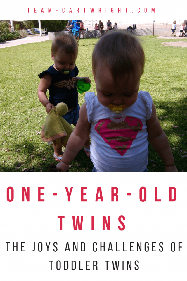 7 Truths about OneYearOld Twins All Twin Moms Know to be True
