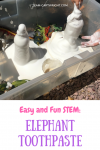 Elephant toothpaste is a must do STEM activity for kids of all ages! Easy, fun, and safe to play with. This fast eruption will impress your children and grab their attention. Plus they will love digging their hands into the foam! STEM with kids | Preschool Learning Activity | Easy Science Projects #STEM #scienceproject #easy #safe #science #preschool #toddler #learningactivity #sensoryactivity Team-Cartwright.com