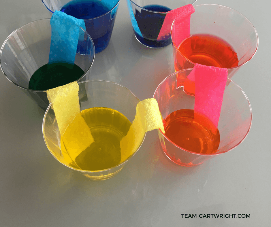 Teach your children about how we see colors and how they mix using a simple color wheel. Watch the water walk from cup to cup and learn why rainbows look the way they do. #colorchemistry #walkingwater #preschoolSTEM #toddlerSTEM #preschoolscienceactivity #homeschool #toddlerlearningactivity #colorlearningactivity #teachcolors #rainbowlearningactivity #easylearningproject Team-Cartwright.com