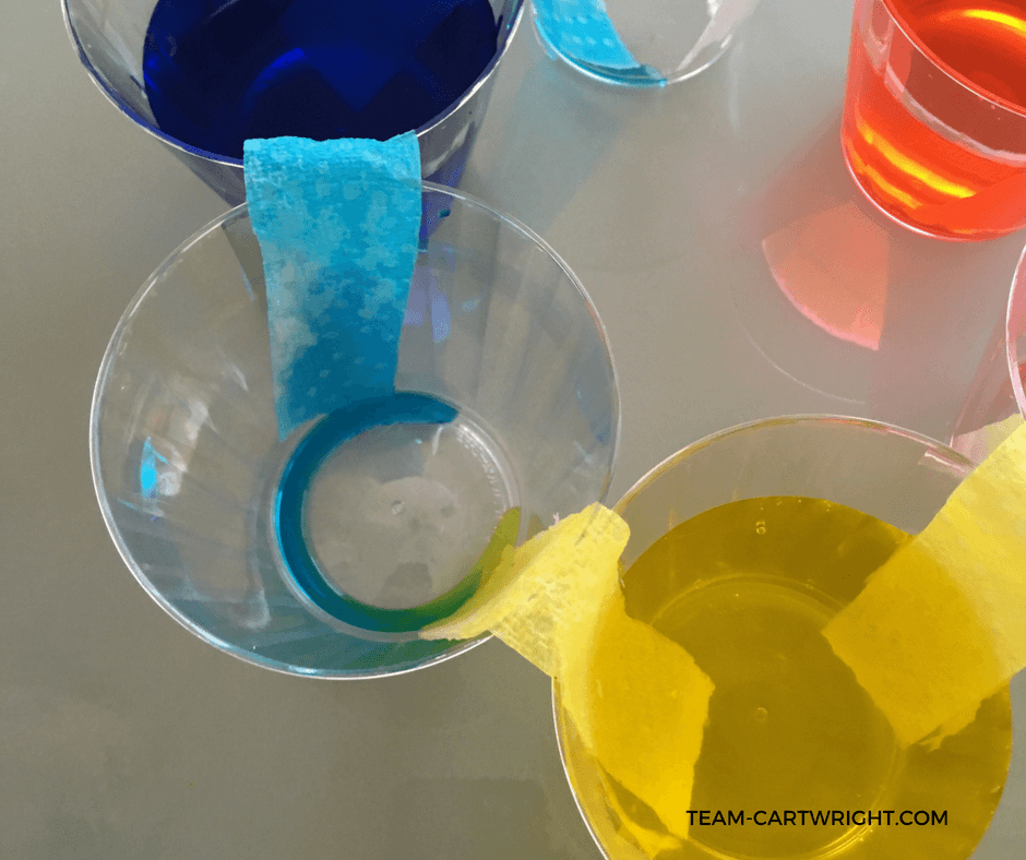 Teach your children about how we see colors and how they mix using a simple color wheel. Watch the water walk from cup to cup and learn why rainbows look the way they do. #colorchemistry #walkingwater #preschoolSTEM #toddlerSTEM #preschoolscienceactivity #homeschool #toddlerlearningactivity #colorlearningactivity #teachcolors #rainbowlearningactivity #easylearningproject Team-Cartwright.com