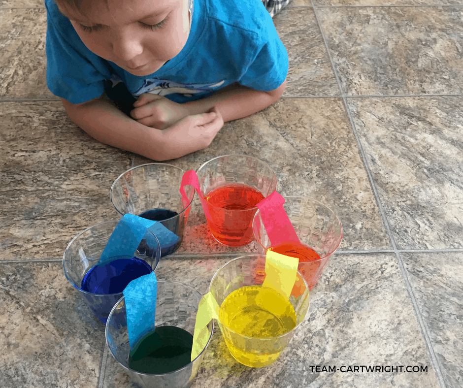 Color Chemistry! Use a simple color wheel to demonstrate primary colors, secondary colors, and color mixing. #colorchemistry #kidstem #scienceactivity #preschoolscience #toddlerscience #preschoolSTEM #toddlerSTEM #summerlearning #homeschool #kidcraft #colorproject Team-Cartwright.com