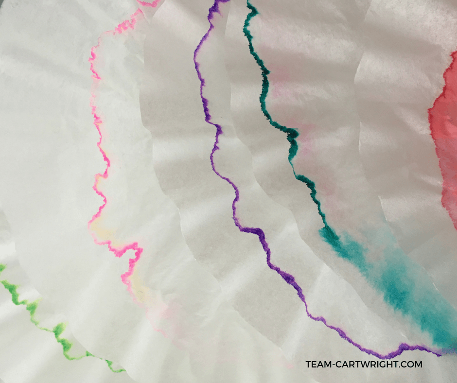 Perform at home color chromatography to demonstrate the components of colors! A surprisingly easy STEM project for kids. (Plus a bonus art project!) #Chromatography #colorchemistry #toddlerscience #toddlerart #STEAMproject #STEMproject #sciencefair #scienceproject #preschoollearning #preschoolscience #preschoolSTEM #homeschoolscience #summerscience #learningactivitiesforkids #easylearningactivity #easyscienceproject #lowcostscienceproject Team-Cartwright.com