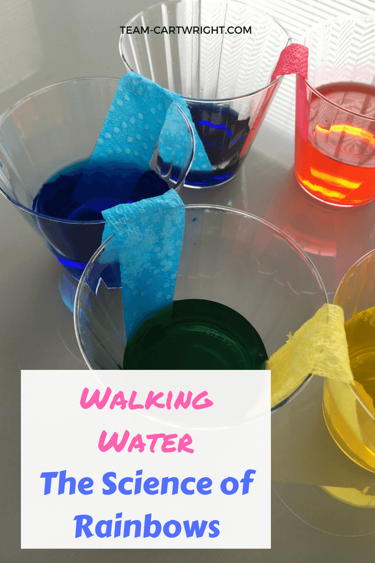 Teach your children about color mixing with an easy walking water project! Learn about rainbows and answer why the sky is blue. Plus try out some at home color chromatography and create a fun art project. #easySTEM #toddlerscience #preschoolscience #STEAMprojects #scienceactivity #easyscienceproject #sciencefairideas #scienceathome #summerscience #colorprojects #colorartproject Team-Cartwright.com