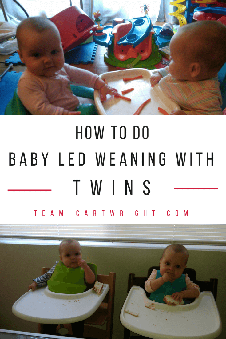 Examples From Our Twin Toddler Diet — Twinside Scoop