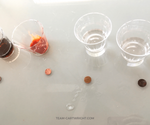 Can ketchup clean a penny? Why or why not? Learn how to do this simple science project with your kids. #science #STEM #learning #activity #kids Team-Cartwright.com