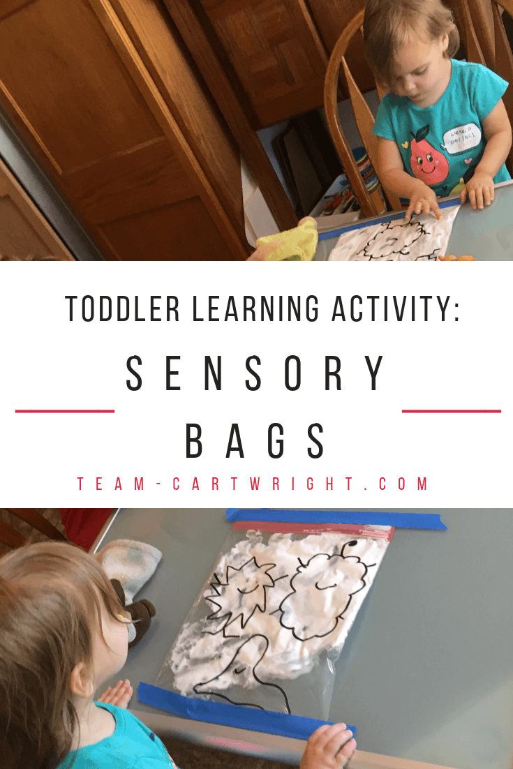 Toddler learning activity: Sensory bags! Make easy and fun monster sensory bags and help your toddler work on fine motor skills, counting, number sense, and creativity! Easy to make and easy to clean up. #learningactivity #sensoryactivity #sensorybag #finemotorskills #toddler #preschooler #countinggame #numbersense Team-Cartwright.com