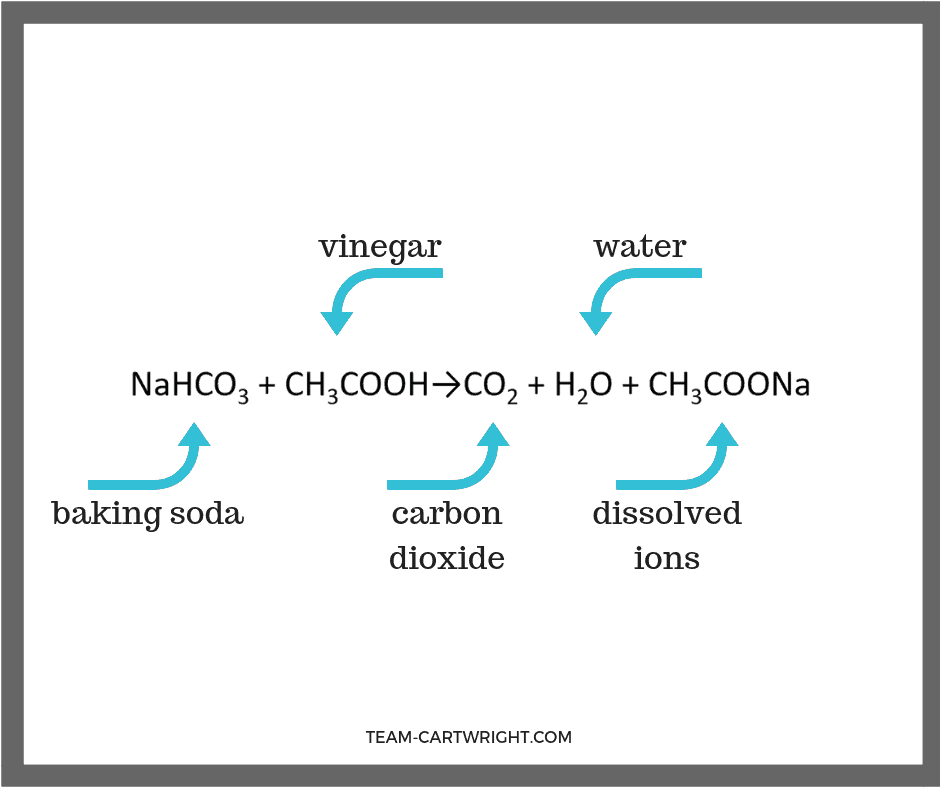 Vinegar And Baking Soda Reaction Brainly at Thomas Haveman blog