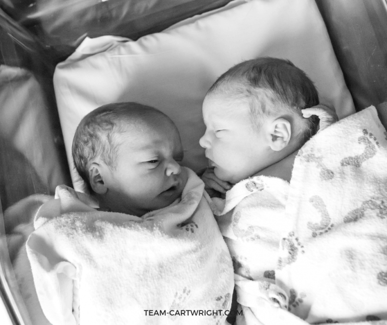 Twin Nursing Pillow My Brest Friend Twin or Twin Z?