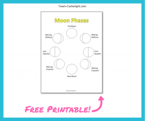 Free printable moon phase worksheet! Help your child color in the phases of the moon. Fun creative space STEM activity! #SpacePrintable #SpaceWorksheet #MoonPrintable #MoonWorksheet #PreschoolScience #MoonPhases #moon Team-Cartwright.com