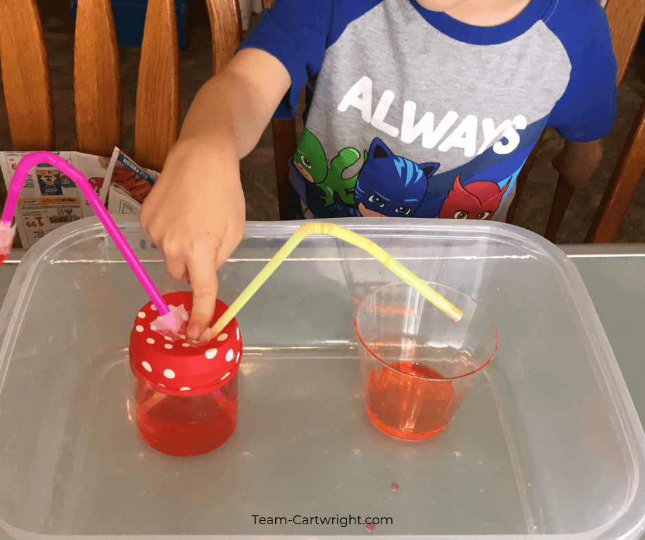 Make an easy heart pump model with your kids! Study the cardiovascular system and put together this simple science experiment to demonstrate how the heart pumps blood through the human body. STEM for kids! #STEM #Science #Anatomy #ScienceFair #HeartScience #Cardiovascular Team-Cartwright.com