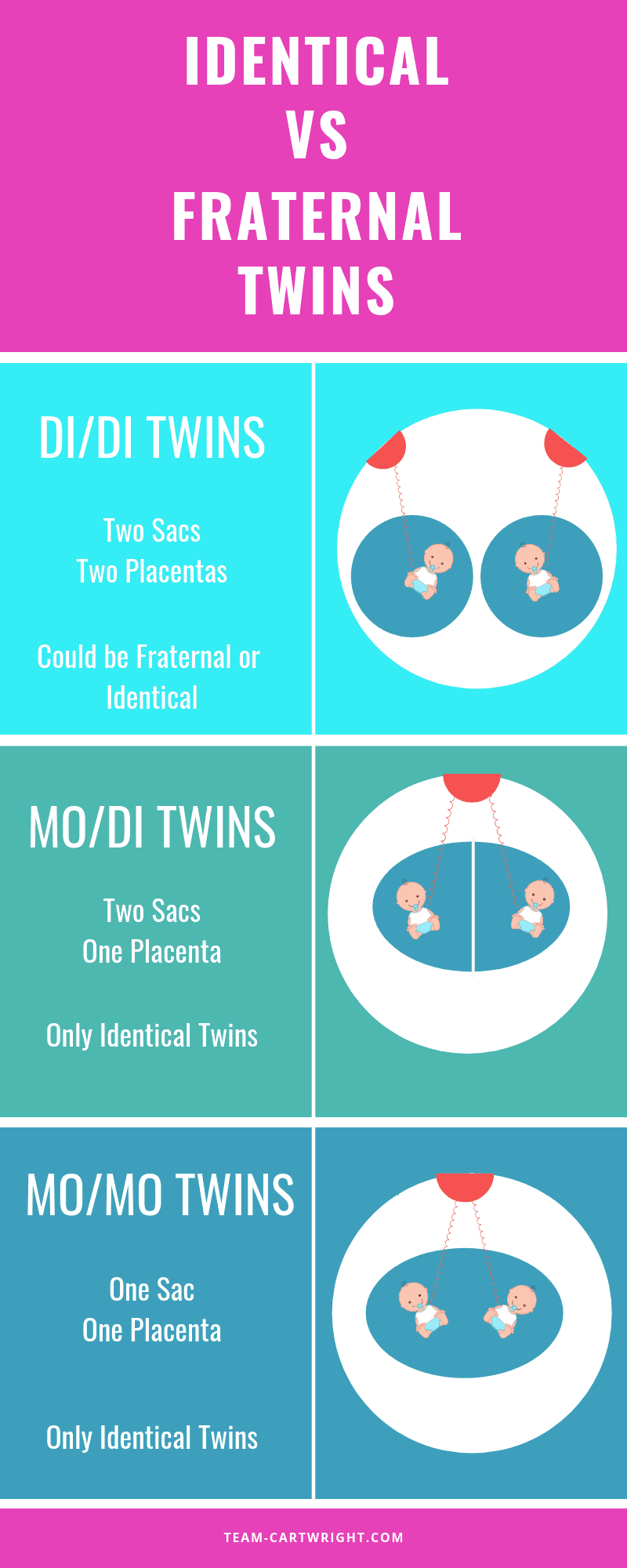 Identical Vs Fraternal Twins What Makes Twin Types Different 