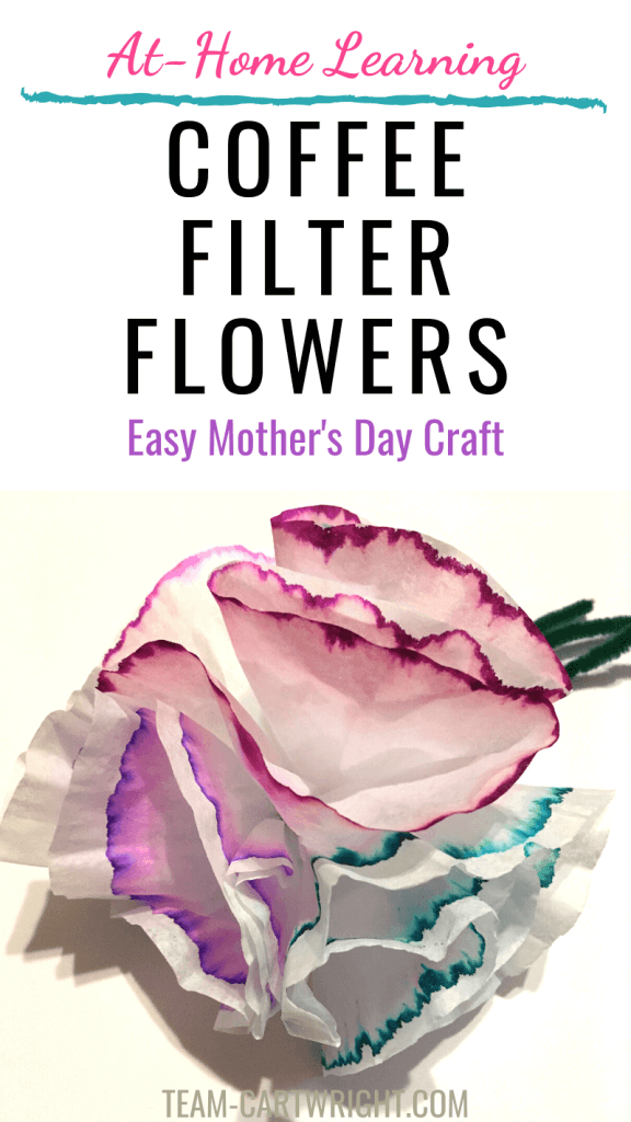 Coffee Filter Flowers Easy Mother's Day Craft with picture of coffee filter flowers on green pipe cleaner stems