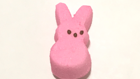 Jelly Bean Coding Activity: An Easter STEM Project - Team Cartwright