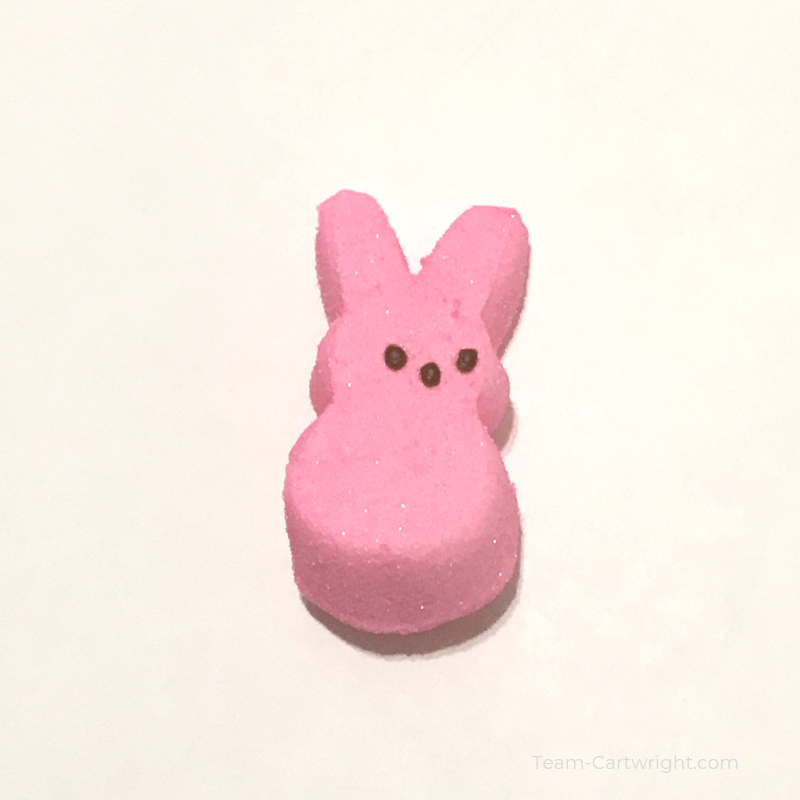 picture of a pink bunny peep