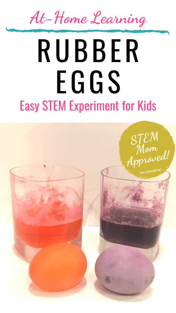 Rubber eggs easy STEM activity for kids