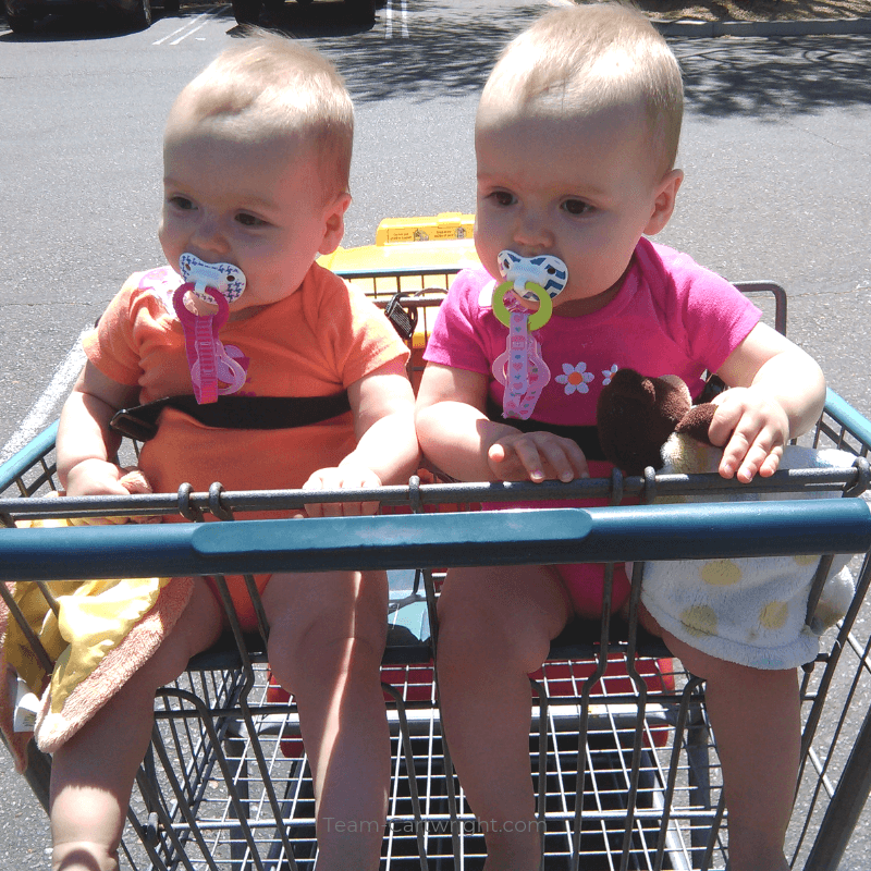 picture of twin babies in a shopping cart