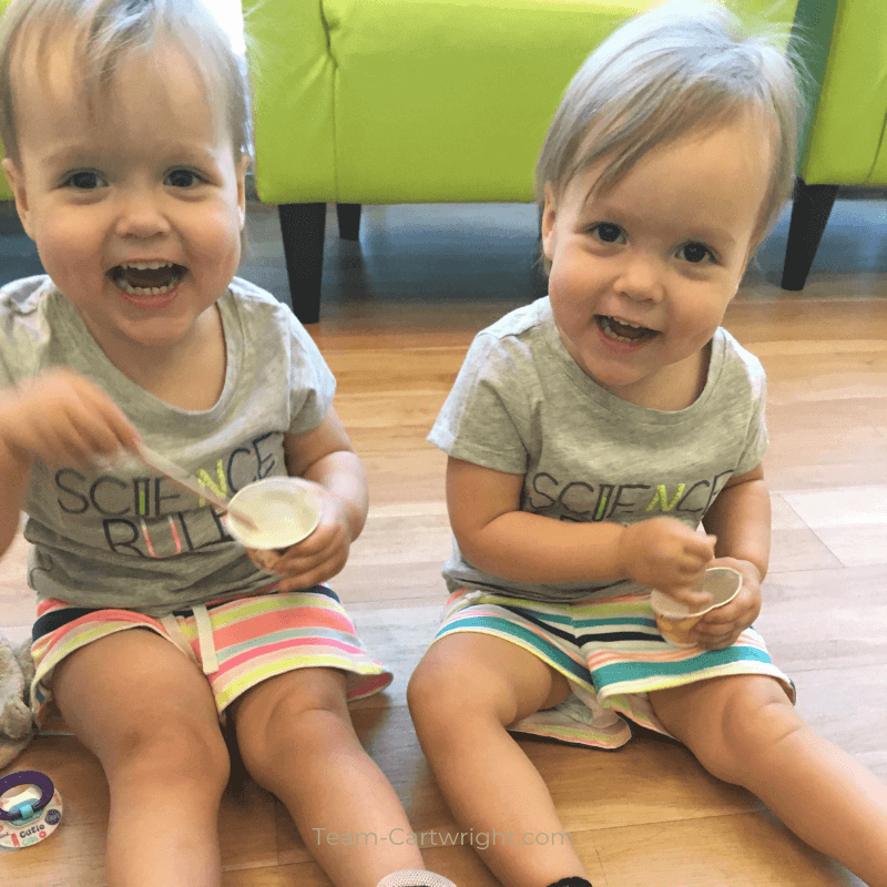 picture of toddler twins playing