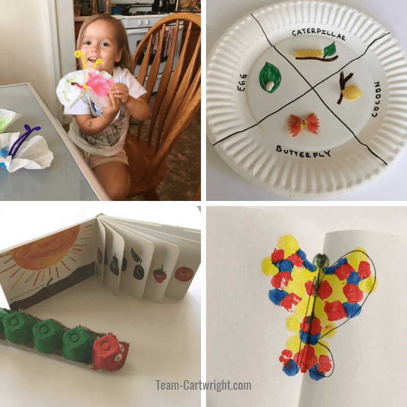 Butterfly STEAM activities for preschoolers