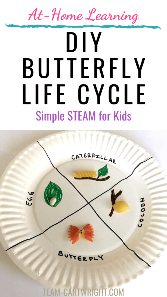 DIY butterfly life cycle STEM activity with picture of paper plate butterfly life cycle craft