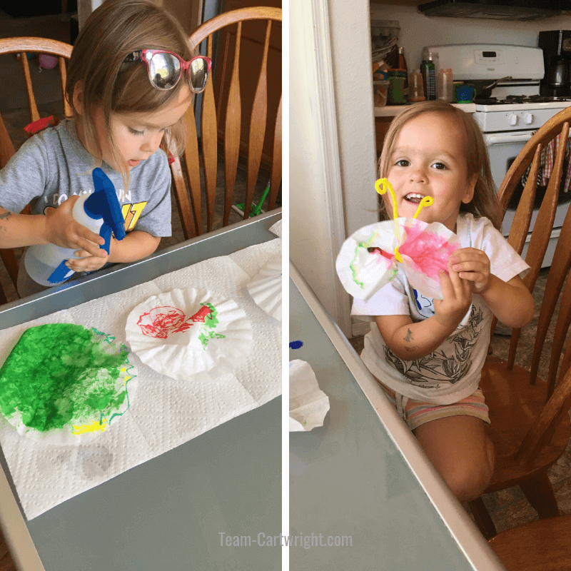 How to make chromatography butterflies at home!