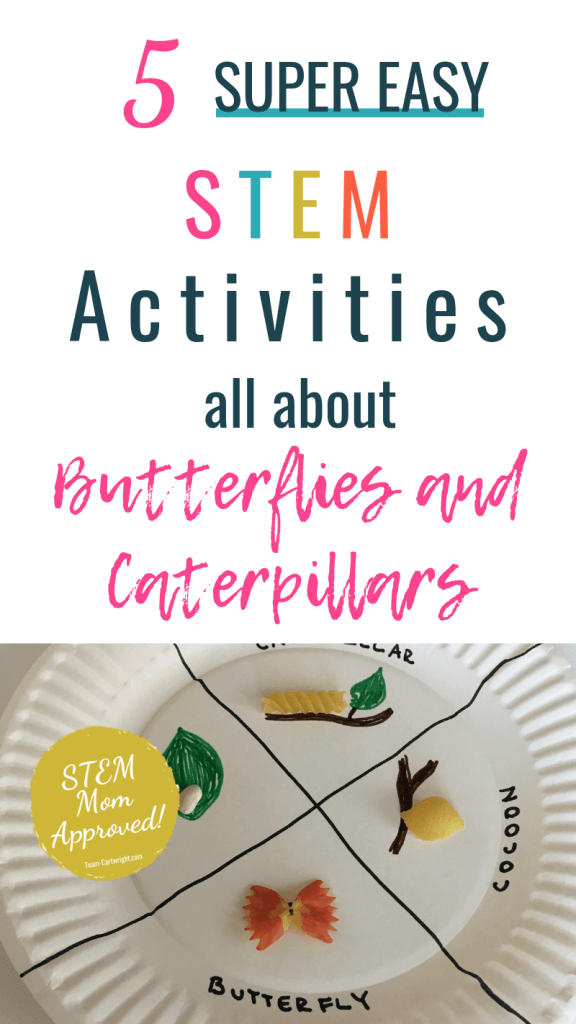 5 Super Easy STEM Activities all about Butterflies and Caterpilars