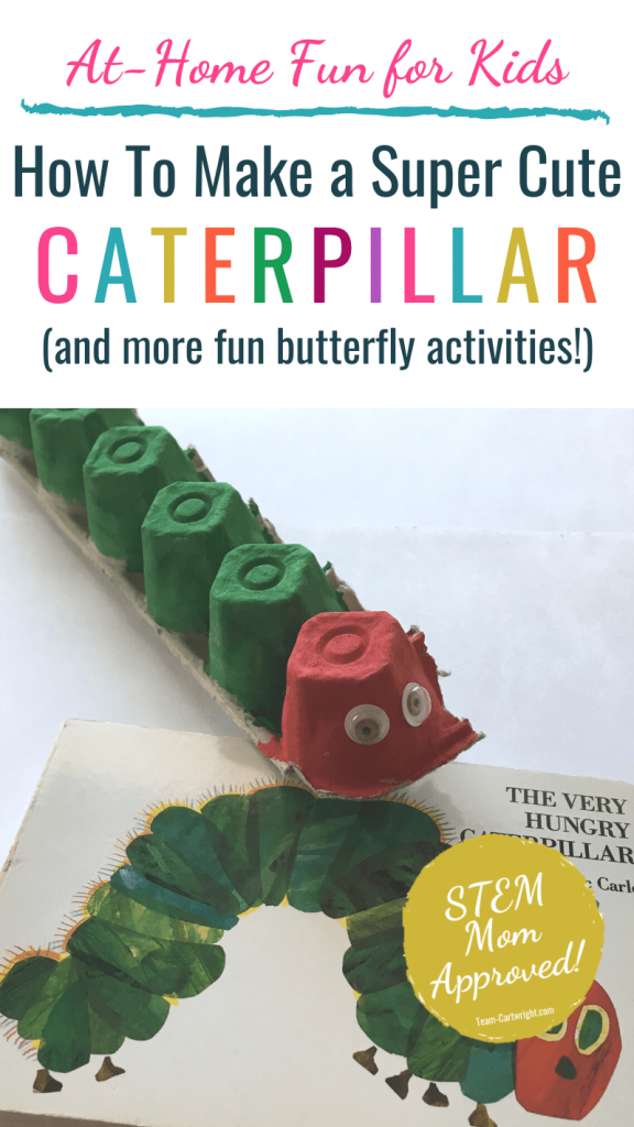 how to make a cute and easy caterpillar (and more fun butterfly activities)