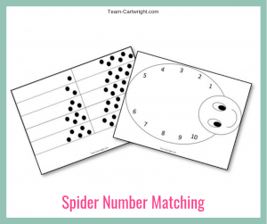 Spider Number Matching Printable Worksheets