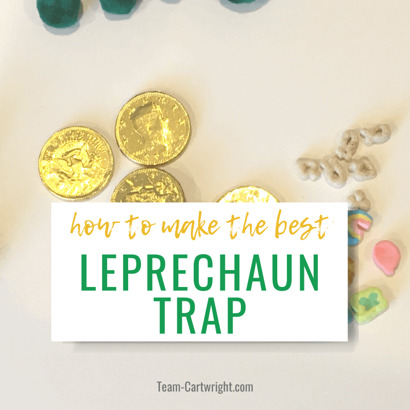 how to make the best leprechaun trap