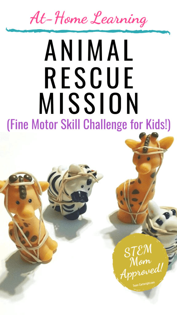 Fine Motor Skill Practice Animal Rescue Mission