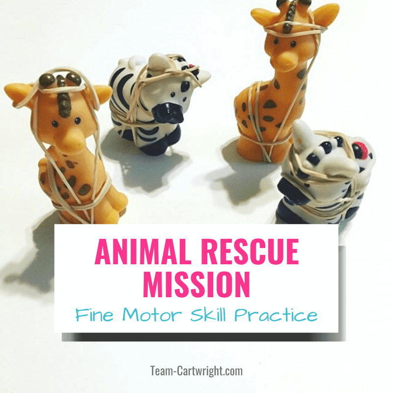 animal rescue fine motor skill practice