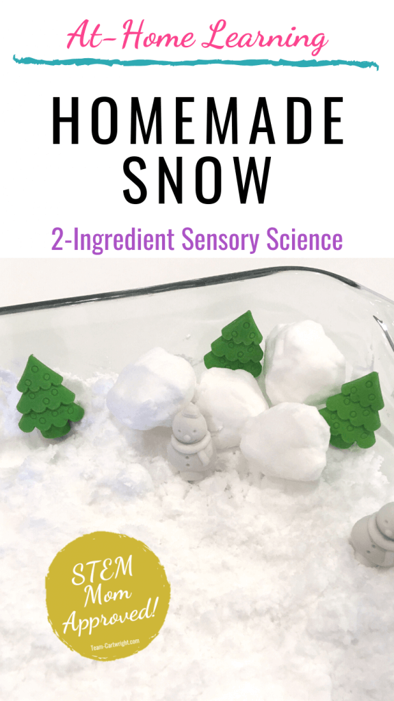 Homemade Sow 2-ingredient sensory science