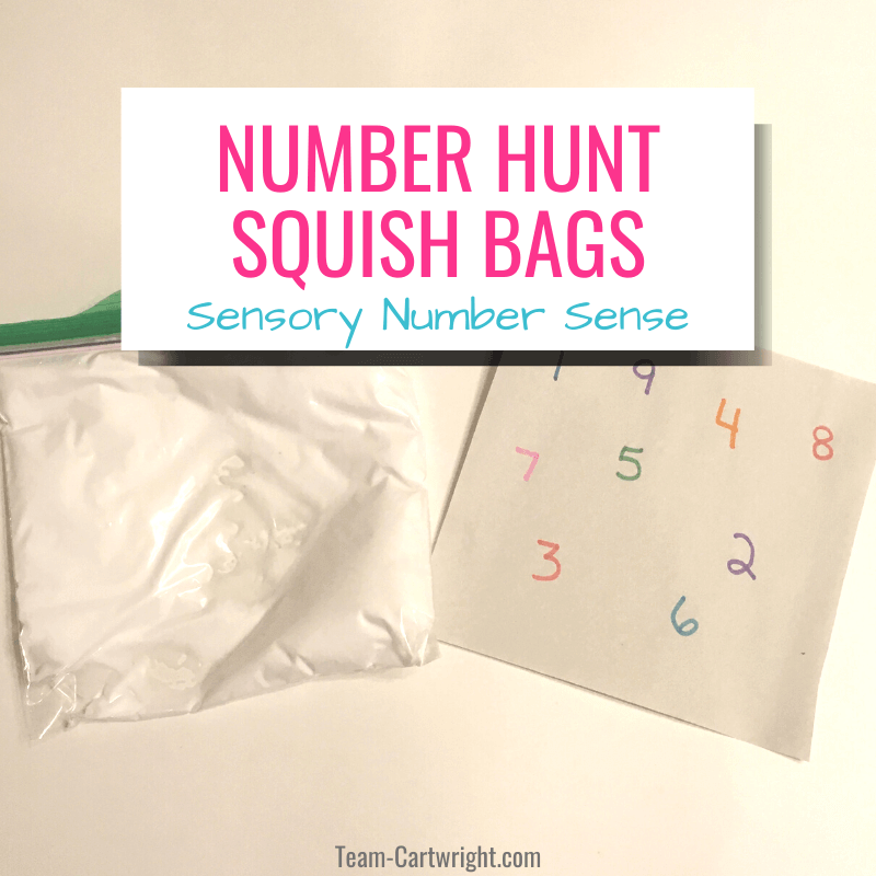 Number hunt squish bags Sensory Number Sense with picture of baggie of shaving cream for sensory play and number page to put under