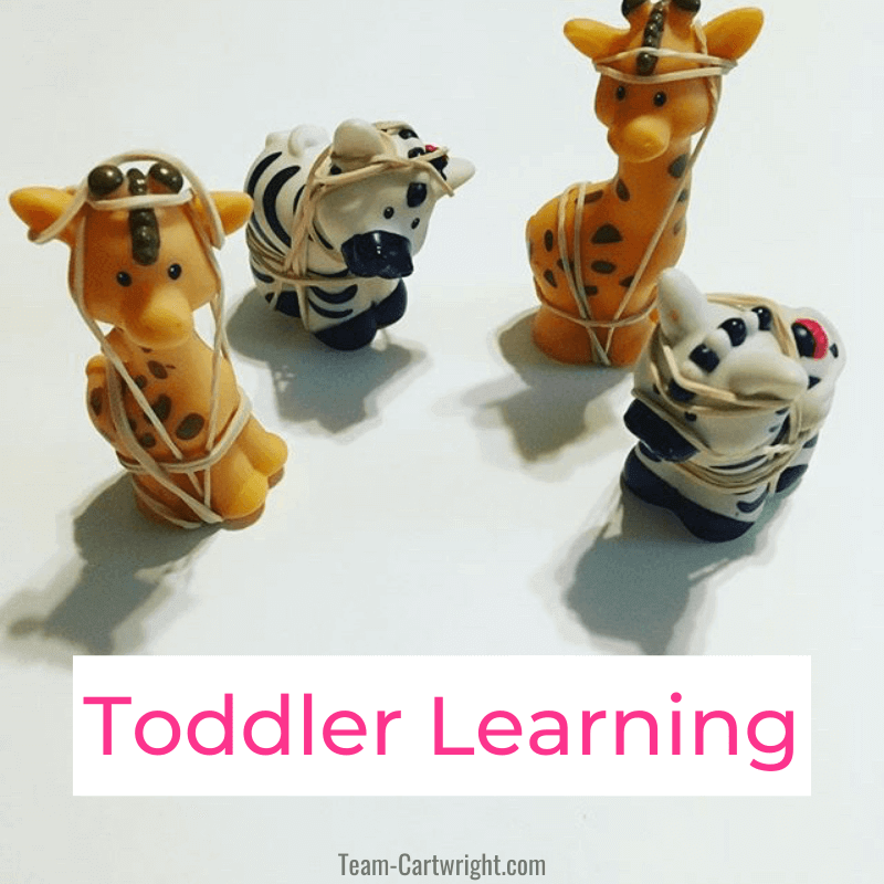 Links to: Toddler learning activities Text: Toddler Learning Picture: 2 plastic toy giraffes and 2 plastic toy zebras wrapped in rubber bands for toddler motor skill play