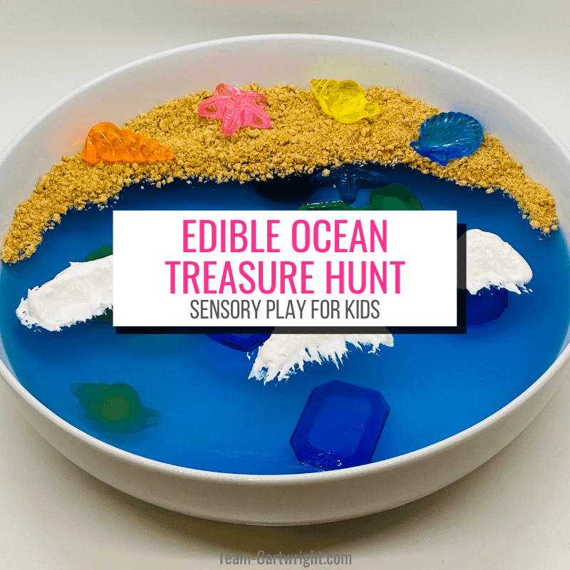 Ocean Sensory Bin