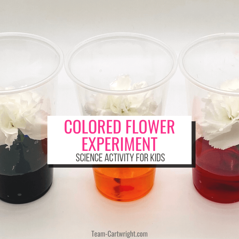 simple science experiments for three year olds