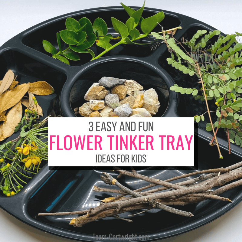 Text: 3 Easy and Fun Flower Tinker Tray Ideas for Kids. Picture: Flower tinker tray with nature materials