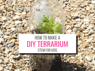 Text: How To Make a DIY Terrarium Garden for Kids Picture: Soda bottle terrarium with plant inside