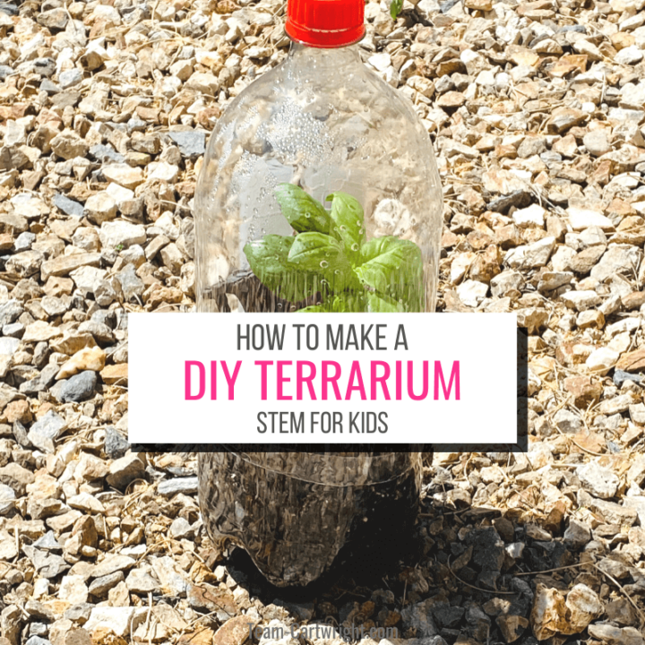 https://team-cartwright.com/wp-content/uploads/2021/04/DIY-terrarium-for-kids-1-720x720.png