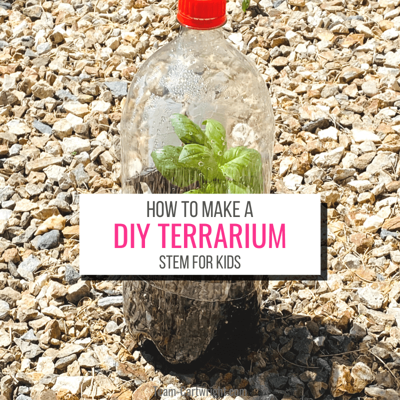 Text: How To Make a DIY Terrarium Garden for Kids Picture: Soda bottle terrarium with plant inside