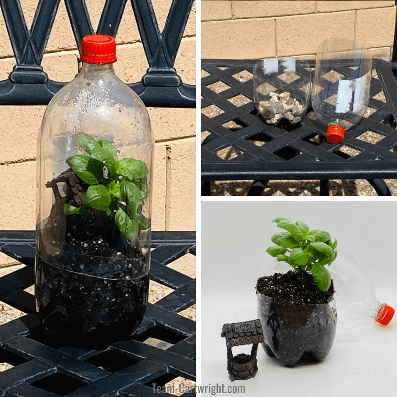 Top right picture: soda bottle terrarium in progress with rocks at the bottom. Bottom left picture: Open diy terrarium with plant and wishing well garden decoration. Left picture: compelted bottle terrarium for kids with plant inside.