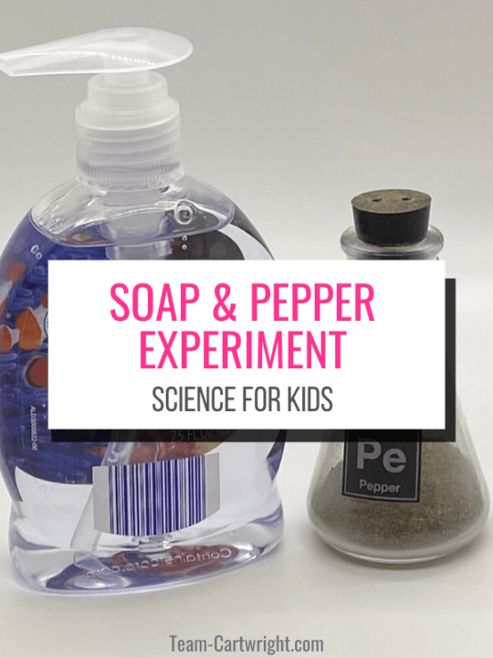 Text: Soap & Pepper Experiment Science for Kids. Picture: Bottle of hand soap and Erlenmeyer flask of pepper