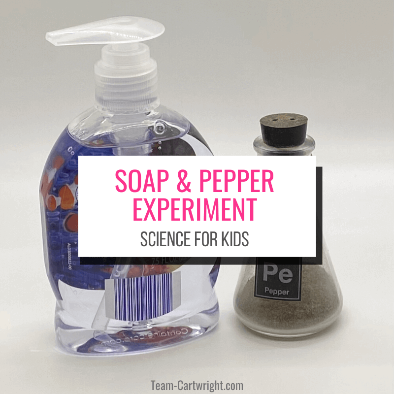 soap making science experiment