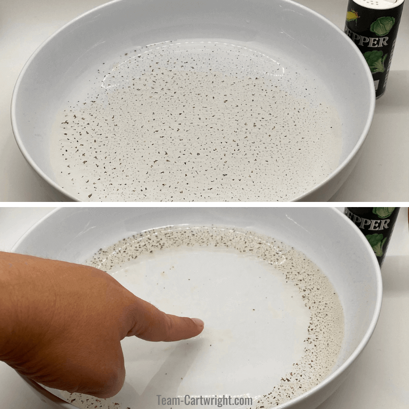 Top picture: Dish full of water with pepper on the water. Bottom picture: hand touching the surface with soap on their finger making the pepper spread to the edges