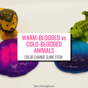 Text: Warm-Blood vs Cold-Blooded Animals Color Change Slime STEM. Picture: Toy lion  by purple slime that turns pink, alligator by blue slime that turns purple